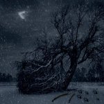 [모두드루와] 기사뜬지 10일째, EDAM이 일을 조카 못하지?