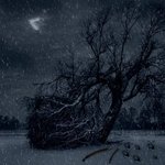 [모두드루와] 기사뜬지 10일째, EDAM이 일을 조카 못하지?