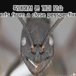 니네 이거봤냐 ㄹㅇ 개극혐