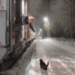 다이어트 <b>자극</b>사진은 오히려