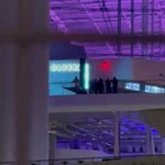 방탄 리허설하다가 아미보려고