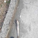 집가는길 <b>캐쉬</b>탬 발견함