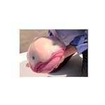 찐<b>시혁</b> 근황