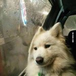 [방탄소년단] <b>낮술</b>이나 할련다