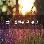 [좋은생각] 삶이 꽃피는 그 순간~