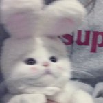 얘더랑 노래 추천 좀