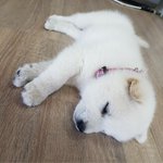 [드루와] 수능 끝난 판녀 재워줄게 <b>놀러</b> 와