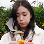 제주도 <b>류진</b>은 실패하지 않는구나