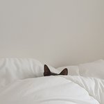 금쪽같은내새끼 남의가정파탄 프로그램임?