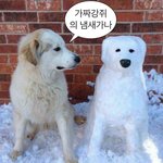 [드루와] 에버랜드 수험생 할인