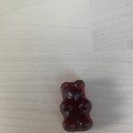 [NCT칠프] 우리집 애완곰