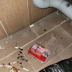 [빡침주의] 윗집 소주병+재떨이 테러로 베란다 <b>박살</b>