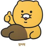 <b>춘식</b>이의