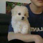 엔시티 족보(?) 좀 알려줘