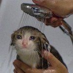 [NCT드림] 님들아 마마투표해줘