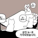 [19] 나 승모근 어떤편