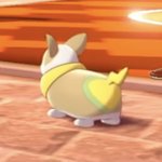 <b>아웅</b> 귀여워