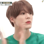 [NCT드림] 제노는 골든 리트리버야 사모예드야?