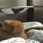 [댓글부탁해] 친구가 나보고 맨날 옷 바뀐다고 하는데