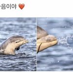 [NCT드림] 러러<b>칭구</b>