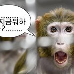 우리 아빠가 나 <b>고시원</b> 보낸대