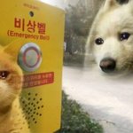 [댓글부탁해] 고3들아 얼렁 들어와봨!!!!!!!!!!