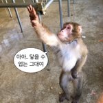 이상형 <b>의인화</b>된 사람 찾음