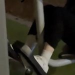 [댓글부탁해] 얘들아 나 <b>발목</b> 두껍냐