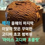 [펜타곤] <b>신원</b>이 생일인 달에