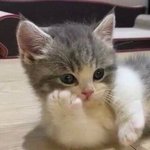 <b>내</b> <b>눈</b> 이렇게 쌍수해달라고 할건데