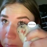 [더보이즈] 더보이즈 보고<b>시포</b>