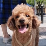 [더보이즈] 가나와 <b>보리</b>