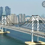 부산 광안대교 다이아 <b>브릿지</b>를 종이로 덮는 설치미술