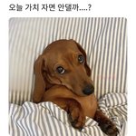 [댓글부탁해] ㅃㄹㅃㄹㅃㄹ 제발 <b>추천</b> 좀 해줘
