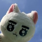 [이태용] 통낭이도 <b>대게</b> 기엽다