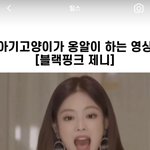 제니 영상에 <b>선미</b> 뭐임??