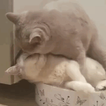 <b>추운</b>계절에