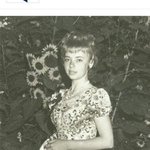 베어그릴스 현실판 레전드