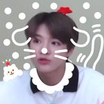 마플이랑 마플 <b>시너지</b>랑 뭐가 달라??