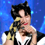 <b>이주연</b> 고양이
