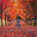 <b>친밀</b>해지고 희노애락을 공유.