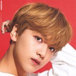 [NCT칠프] 이 사진은 뭘로 뜬거야??