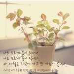 [댓글부탁해] <b>자가</b>격리중 겪은일