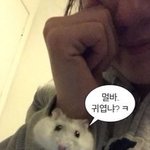 에이블리 패딩들 왤케 비쌈