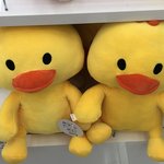 얘들아ㅜ다이소 왔는데 인형이 너무 귀여워