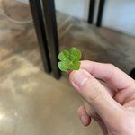 [더보이즈] <b>그</b> 11명 브이 <b>손</b> 사진 분석한 거 없냐