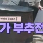 [스키즈] 자<b>컨팀</b> 귀엽다