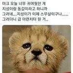 [NCT드림] 우리 마쿠는 지송이 <b>평생</b> 애기로 볼듯