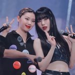 노제<b>리정</b> 조합이 인기 많은 이유