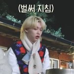 [스키즈] 어제 건진 유용짤 쓸 시간..